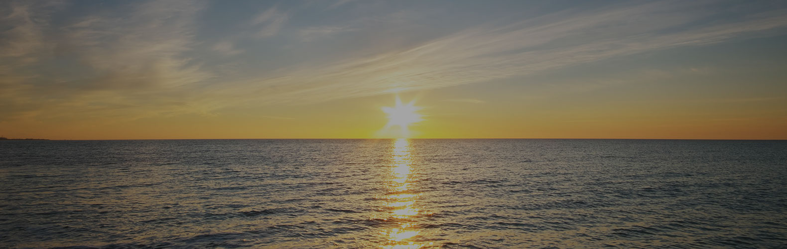 尊龙凯时人生就是搏(中国区)官方网站