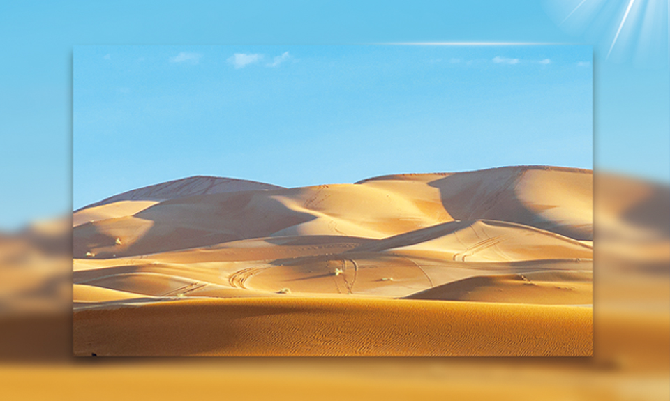 尊龙凯时人生就是搏(中国区)官方网站